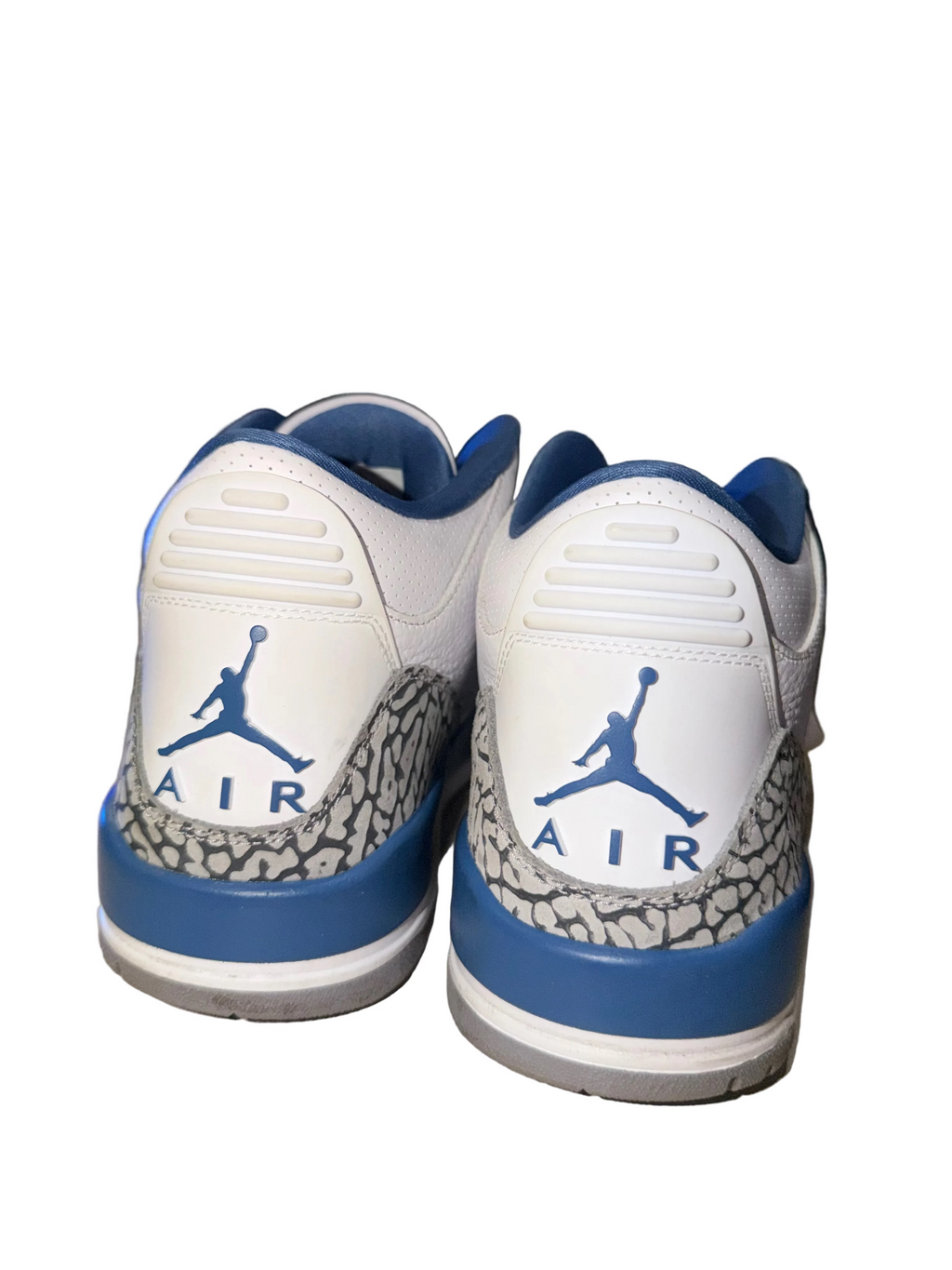 Air Jordan 3 “Wizard”