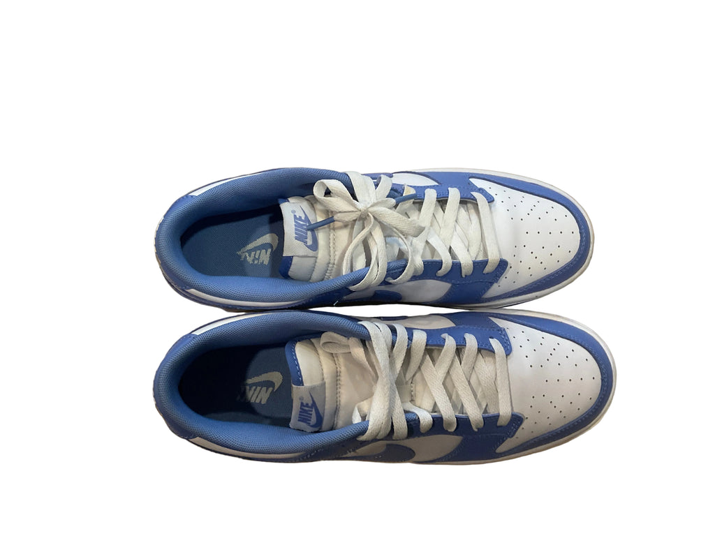 Blue Nike dunks