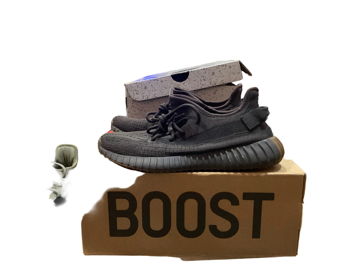 Yeezy boost 350 V2